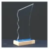Abstract Clear Acrylic Trophy ACR1124
