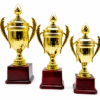 Classic Gold Cup Trophy – 3 Sizes with Wooden Base