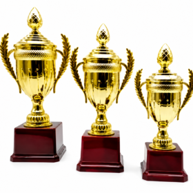 Classic Gold Cup Trophy – 3 Sizes with Wooden Base