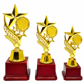 Gold Star Achievement Classic Troph with Wooden Base