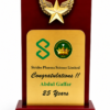 Classic Flying Star Wooden Corporate Recognition Trophy