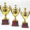 Classic Gold Cup Trophy – 3 Sizes with Wooden Base