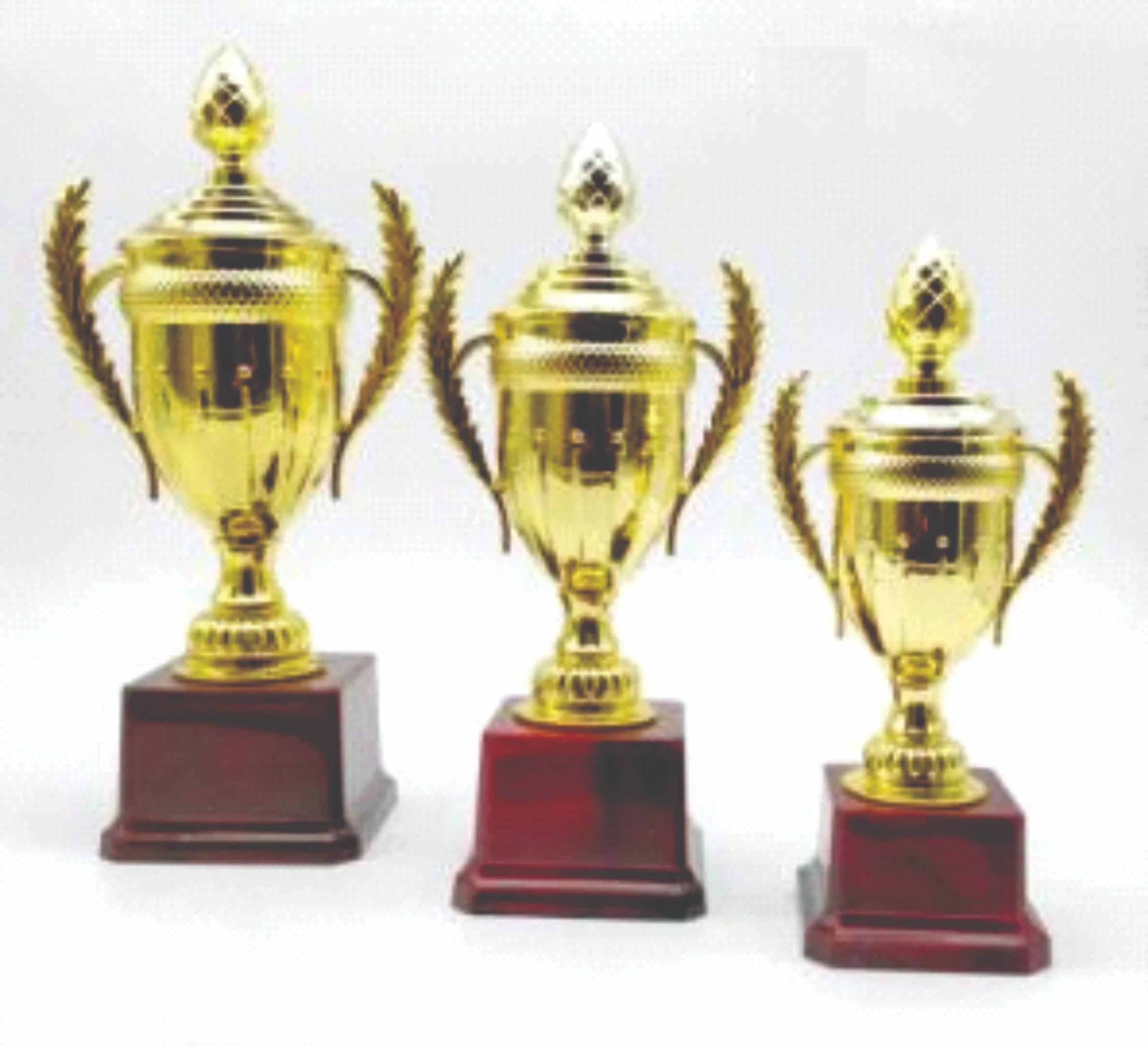 Classic Gold Cup Trophy – 3 Sizes with Wooden Base